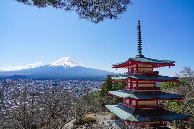 Mt. Fuji Private Chartered Tour with Nature & Wasabi Farm - What Travelers Are Saying: Authentic Experiences and Personal Touches