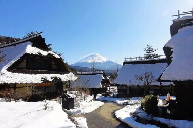 Mt.Fuji Tour: 3-Parks & The Healing Village in Fujiyoshida, Japan - Exploring the Tour in Detail