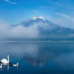 Mt Fuji Tour Customizable, fully Licenced Tour Operator - Final Thoughts: Who Will Love This Tour?