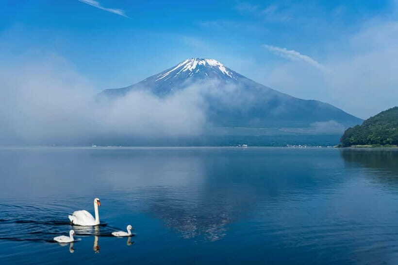 Mt Fuji Tour Customizable, fully Licenced Tour Operator - Final Thoughts: Who Will Love This Tour?