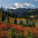 Mt. Rainier National Park Day Tour from Seattle - FAQs