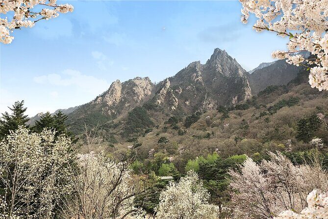 Mt. Seorak+Nami Island+Garden of Morning Calm Day Trip from Seoul - Who Will Love This Tour?