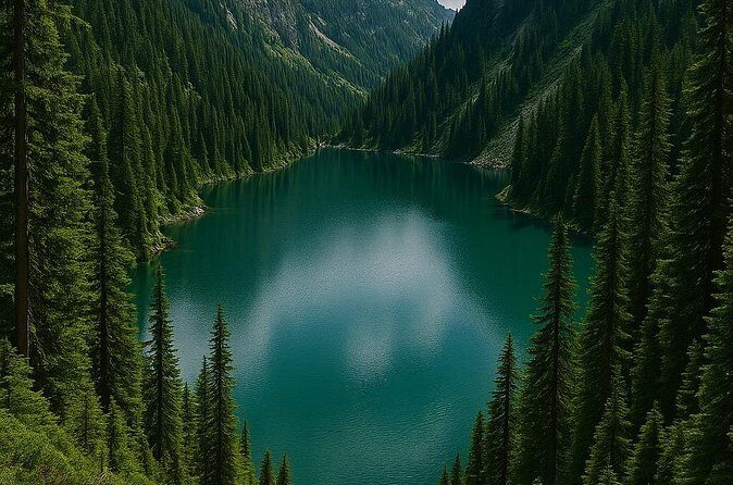 Mt Seymour Beautiful Elsay Lake - What Makes This Tour Stand Out?