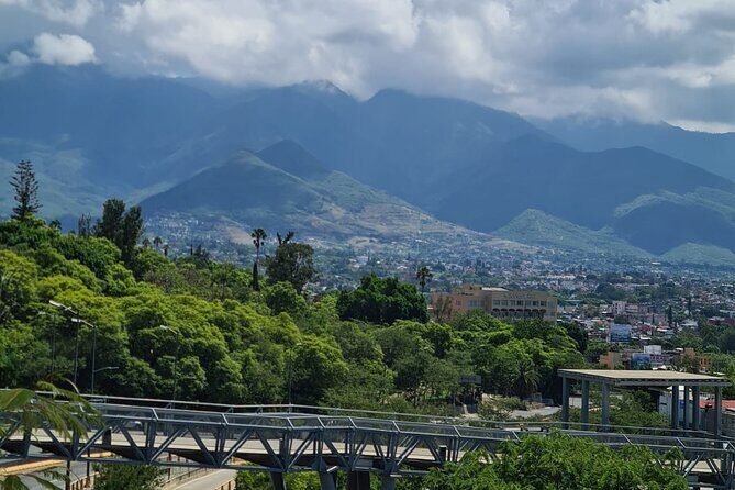 MTB Bike Tour: Enduro to Cerro del Fortín (Black Diamond trails) - What the Reviews Say