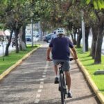 MTB Bike Tour: Tree of the Tule on mountain trails - The Sum Up: Is It Worth It?