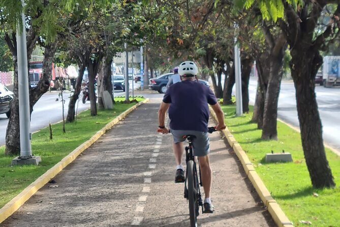 MTB Bike Tour: Tree of the Tule on mountain trails - The Sum Up: Is It Worth It?