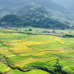 Mu Cang Chai: Private Car 1 day Tour with Local Guide - Exploring Mu Cang Chai: A Deep Dive into the Experience