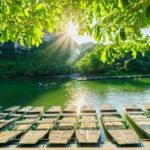 Mua Cave, Trang An and Hoa Lu Shared Tour All Inclusive - A Deep Dive Into the Ninh Binh Experience