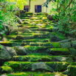 Mui Ne Sand Dunes Quad Bike Atv And Vung Tau City 2 Day Tour - An In-Depth Look at the Tour Experience