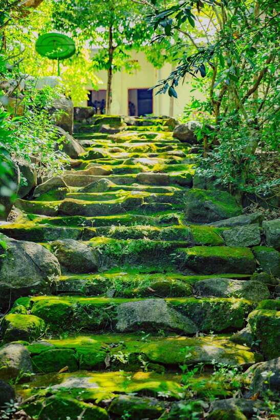 Mui Ne Sand Dunes Quad Bike Atv And Vung Tau City 2 Day Tour - An In-Depth Look at the Tour Experience