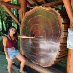 Muir Woods and Golden Gate Bridge 3-hour Private Group Tour - Transportation and Group Size