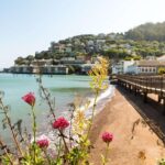 Muir Woods and Sausalito + Ferry, Alcatraz Night Tour & Aquarium Access - Who Will Enjoy This Tour?