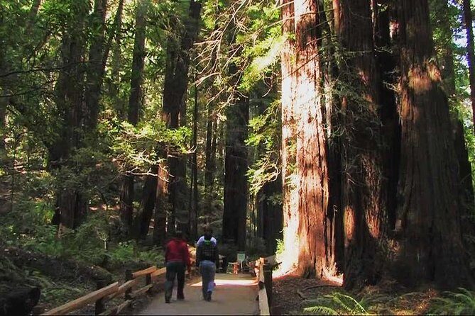 Muir Woods and Sausalito Morning Tour Small-Group Half Day - A Detailed Look at What’s Included and What to Expect