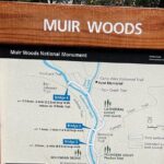 Muir Woods and Sausalito Private Tour - What’s Included and What to Keep in Mind