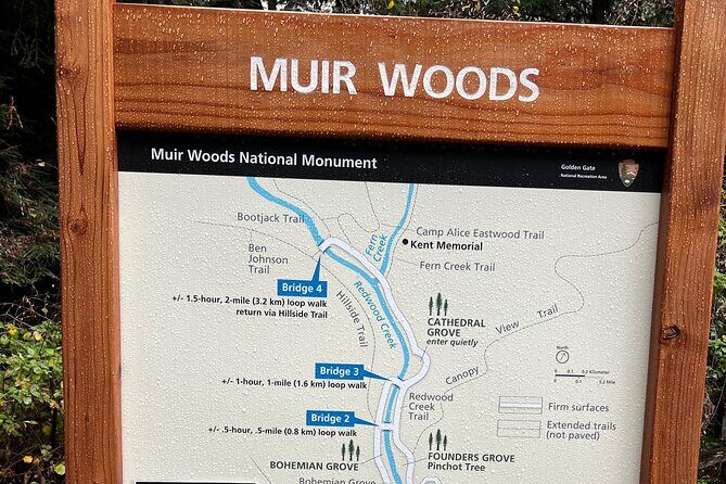 Muir Woods and Sausalito Private Tour - What’s Included and What to Keep in Mind