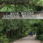 Muir Woods and Sausalito Tour Entrance Fee Included - The Value and What Makes This Tour Stand Out