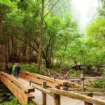 Muir Woods and Sausalito Tour Plus Bay Cruise - Who Will Love This Tour?