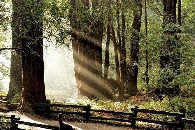 Muir Woods & Napa-8hr-Private Scenic Wine Tour From San Francisco - What’s Included and What’s Not