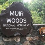 Muir Woods & Sausalito: Small Group Experience - Who Will Love This Tour?