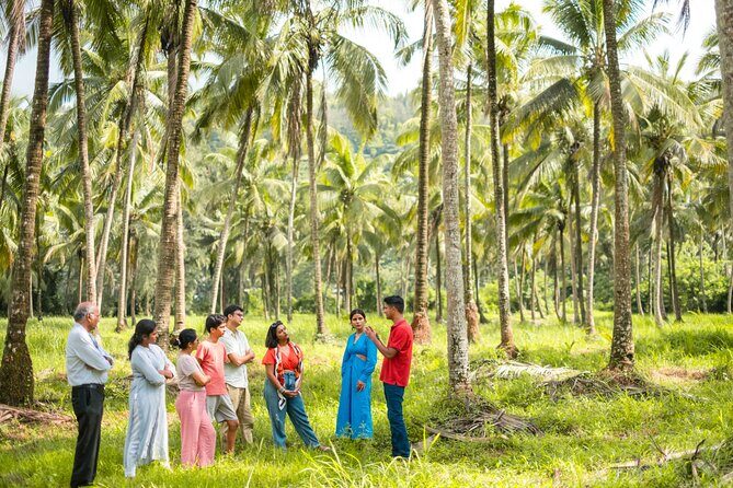 Mulgao Folk Village & Coconut Farming Experience - Make It Happen - A Farm-to-Table Feast