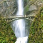 Multnomah Falls and Columbia River Gorge Half-Day Hiking Tour - An In-Depth Look at the Columbia River Gorge Half-Day Tour