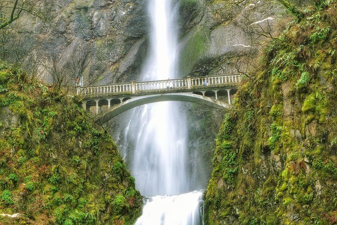 Multnomah Falls and Columbia River Gorge Half-Day Hiking Tour - An In-Depth Look at the Columbia River Gorge Half-Day Tour