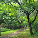 Mumbai: Maharashtra Nature Park Guided Nature Trail - Why This Tour Offers Great Value