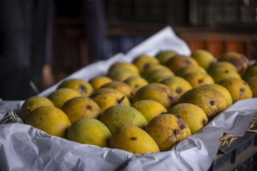 Mumbai Markets & Temples Tour - FAQs