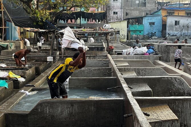 Mumbai Slum Dhobi Ghat and Train Ride Tour with a Local Guide - Why This Tour is a Great Value