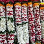 Mumbai Tour: The Most Famous Historical Spots By Car - FAQs (Based on provided details)