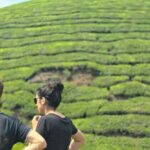 Munnar: Anakulam Jeep Safari to Explore Wild Elephants - The Practical Side: What to Expect