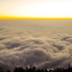 Munnar: Chokramudi Peak Full-Day Trekking Tour - What Travelers Say