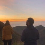 Munnar Daily Tour - Who is This Tour Best For?