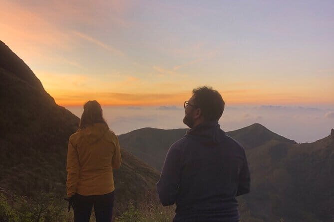 Munnar Daily Tour - Who is This Tour Best For?