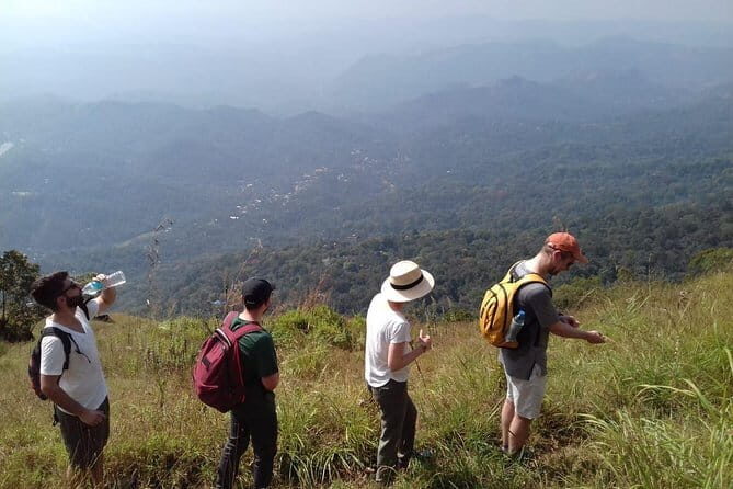 Munnar historical trail- (walk into Tea garden, village & market) - Practicalities and Logistics