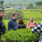 Munnar: Kolukkumalai Tea Plantation Jeep Tour - The Scenic Jeep Ride: A View into Munnar’s High Country