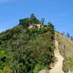 Munnar: Sunrise Trekking Adventure with Breakfast - What To Expect Step-by-Step