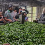 Munnar: Tea trail, Tea Factory, and Tea Tasting Tour - An In-Depth Look at the Munnar Tea Tour