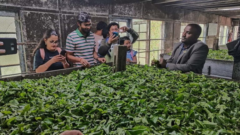 Munnar: Tea trail, Tea Factory, and Tea Tasting Tour - An In-Depth Look at the Munnar Tea Tour