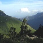 Munnar Tea valley Tour ( By Munnar Info) - Who Is This Tour Best For?
