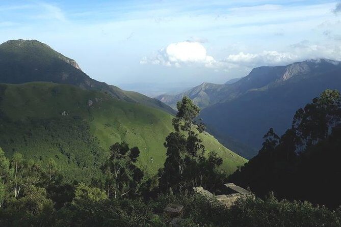 Munnar Tea valley Tour ( By Munnar Info) - Who Is This Tour Best For?