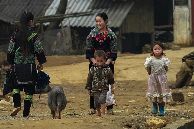 Muong Hoa Valley Trek & Homestay Experience - 4D3N - Practical Considerations