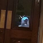 Murder & Mayhem Haunted History Walking Tour - A Comprehensive Look at the Murder & Mayhem Haunted History Walking Tour