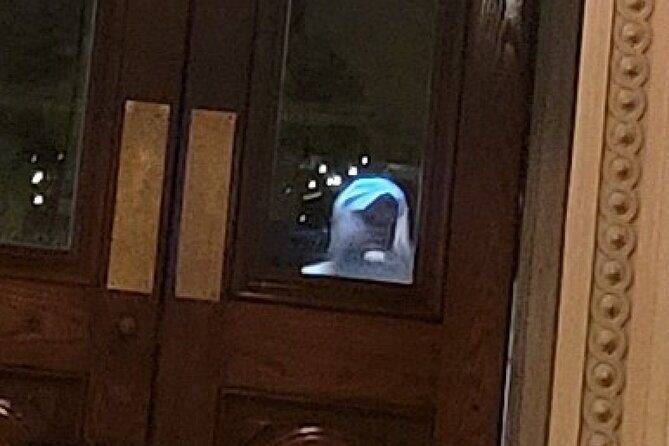 Murder & Mayhem Haunted History Walking Tour - A Comprehensive Look at the Murder & Mayhem Haunted History Walking Tour