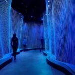 Museum of the Bible Admission Ticket - Who Will Love This Museum?