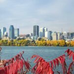 Must See Montreal Walking Tour With A Local Host - Analyzing the Value: What This Tour Offers
