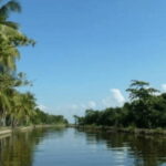 Muthurajawela Wetland: Birdwatching Expedition by Boat - Exploring the Muthurajawela Wetland: A Deep Dive