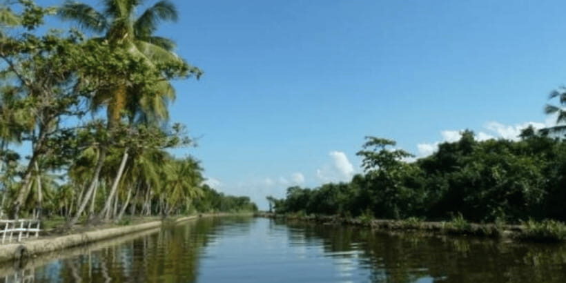 Muthurajawela Wetland: Birdwatching Expedition by Boat - Exploring the Muthurajawela Wetland: A Deep Dive