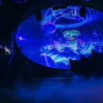 Mystic Universe Exhibition - Why This Experience Is Worth Your Time