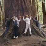 Mystical Rainforest Tour - Forest Magick - Final Thoughts: Is It Worth It?